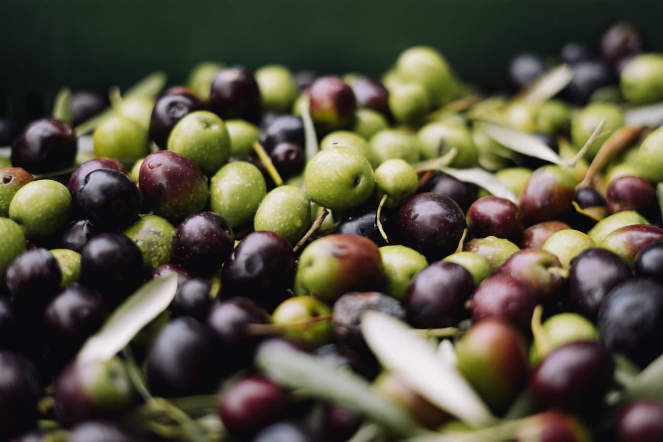Combien De Kilo D Olive Pour 1 Litre D Huile