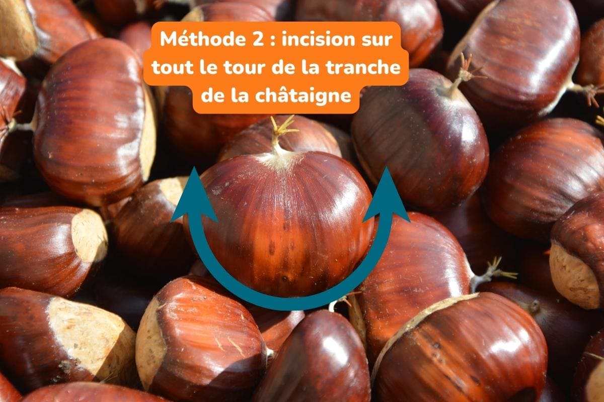 Fausses Châtaignes Décoratives - Lot De 10 Pièces Réalistes - Pour Décoration Maison, Mariage, Noël, Photo