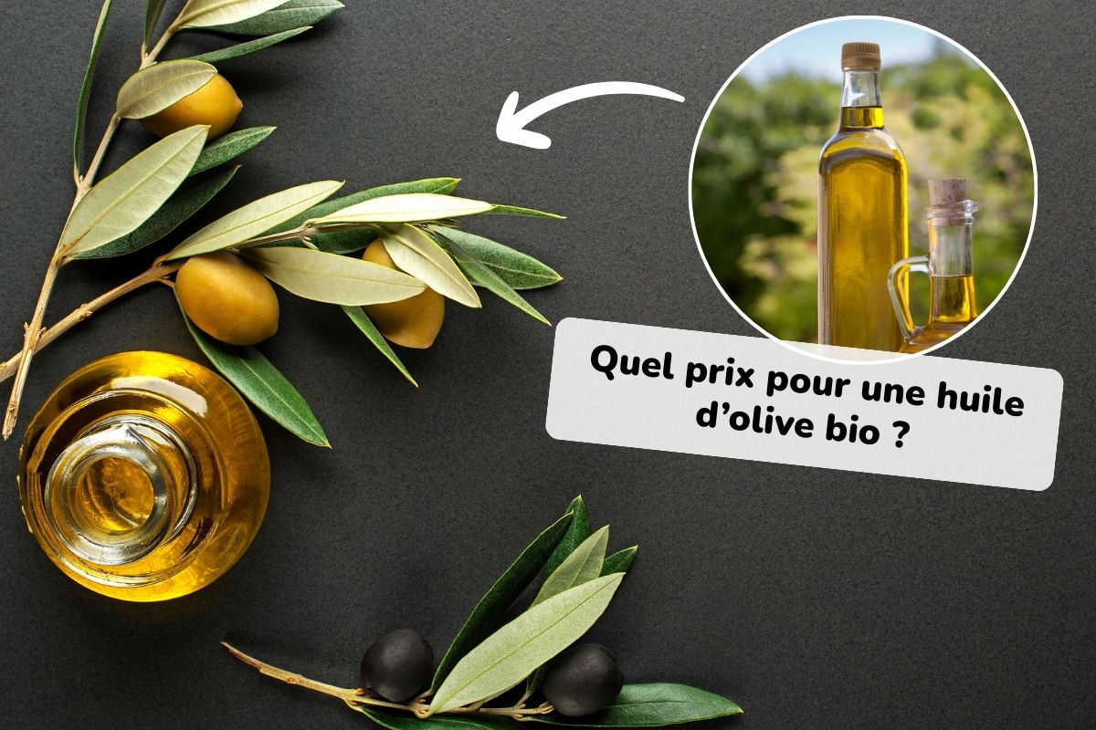 prix d'une bouteille d'huile d'olive bio