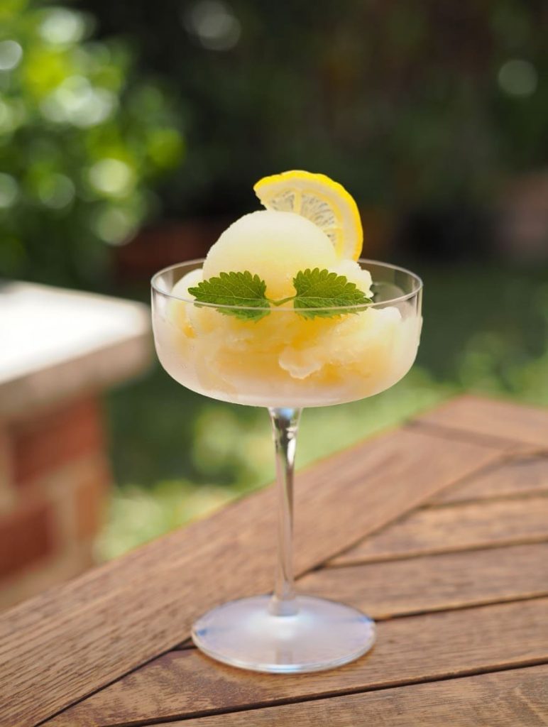 sorbet citron verveine